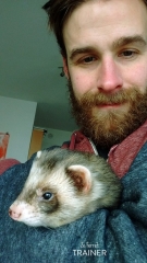 Pause calin - Furet / Humain